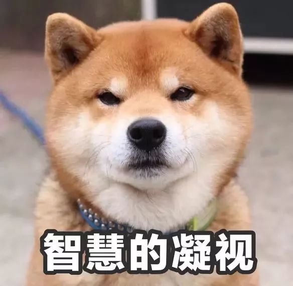 游泳技巧英语掌握方法_掌握游泳技巧英语_游泳技巧英语掌握多久