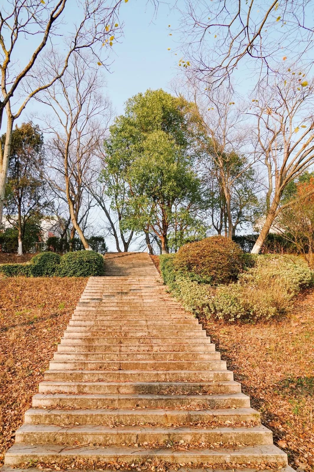 复古式篮球技巧视频教学_篮球复古打法_视频复古篮球技巧式教学大全
