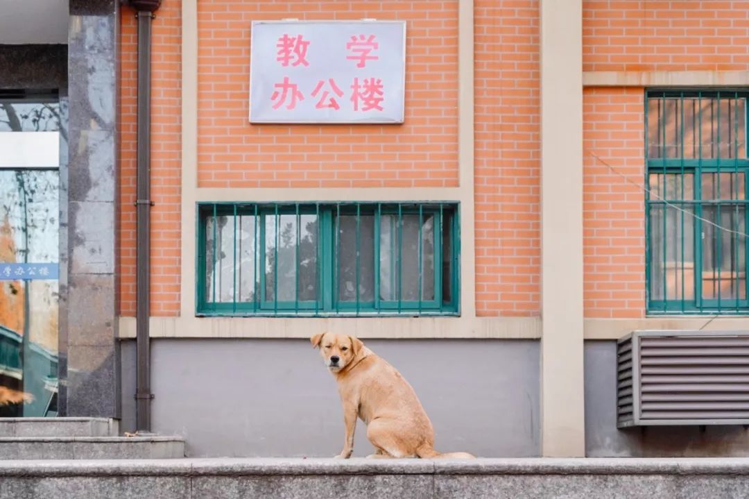 视频复古篮球技巧式教学大全_复古式篮球技巧视频教学_篮球复古打法