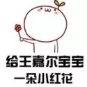 王嘉尔击剑得冠军了没有_王嘉尔击剑世界冠军_王嘉尔击剑冠军
