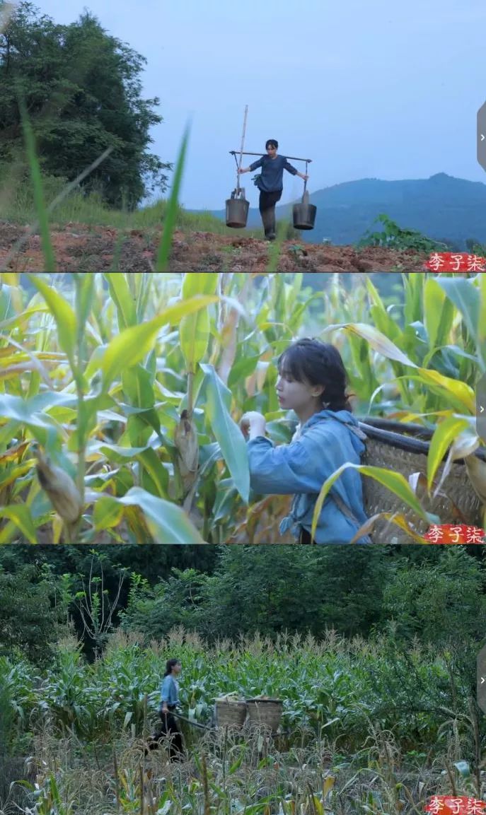 幻想生活技能怎么学_幻想生活职业_幻想生活技能全满