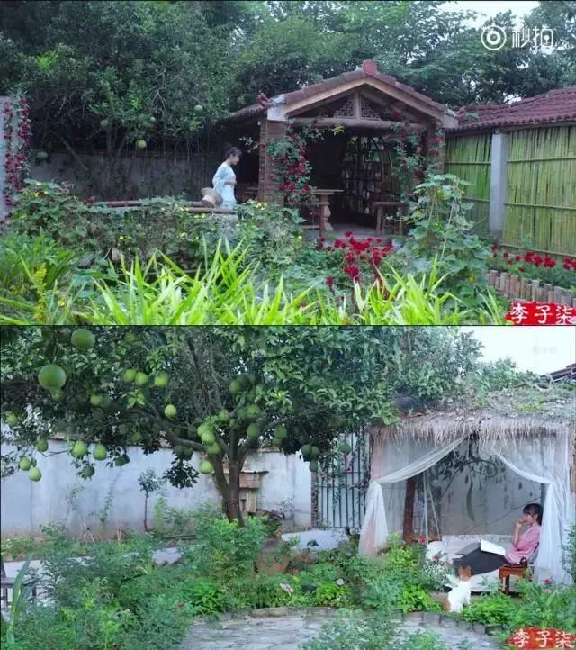 幻想生活职业_幻想生活技能怎么学_幻想生活技能全满