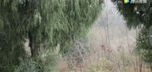 幻想生活技能怎么学_幻想生活技能全满_幻想生活职业