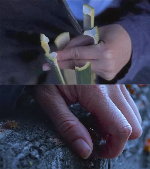幻想生活技能全满_幻想生活职业_幻想生活技能怎么学