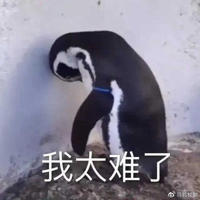 营养餐应急方案_营养餐实施方案和应急预案_营养餐事件处理