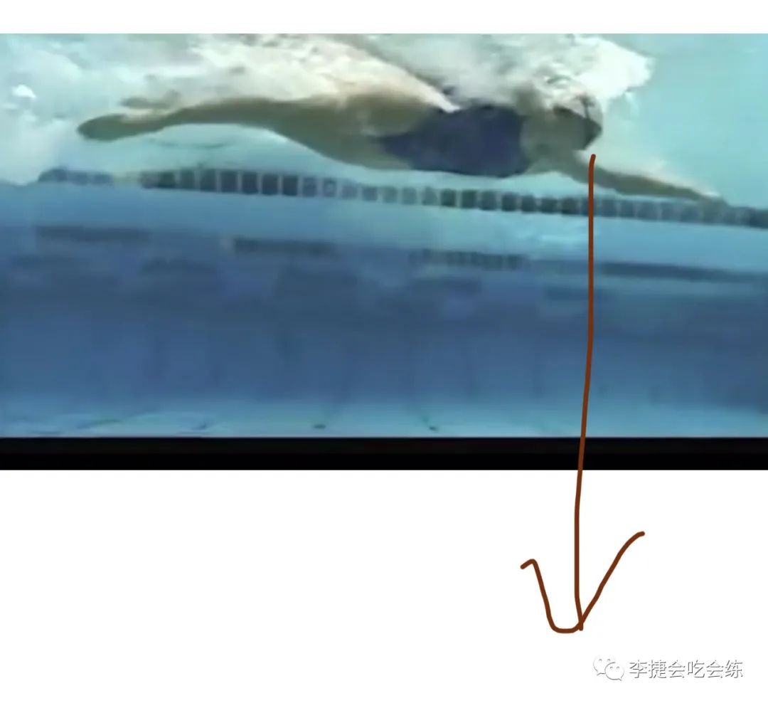 第一个世界游泳冠军是谁_游泳比赛世界冠军_游泳世界冠军