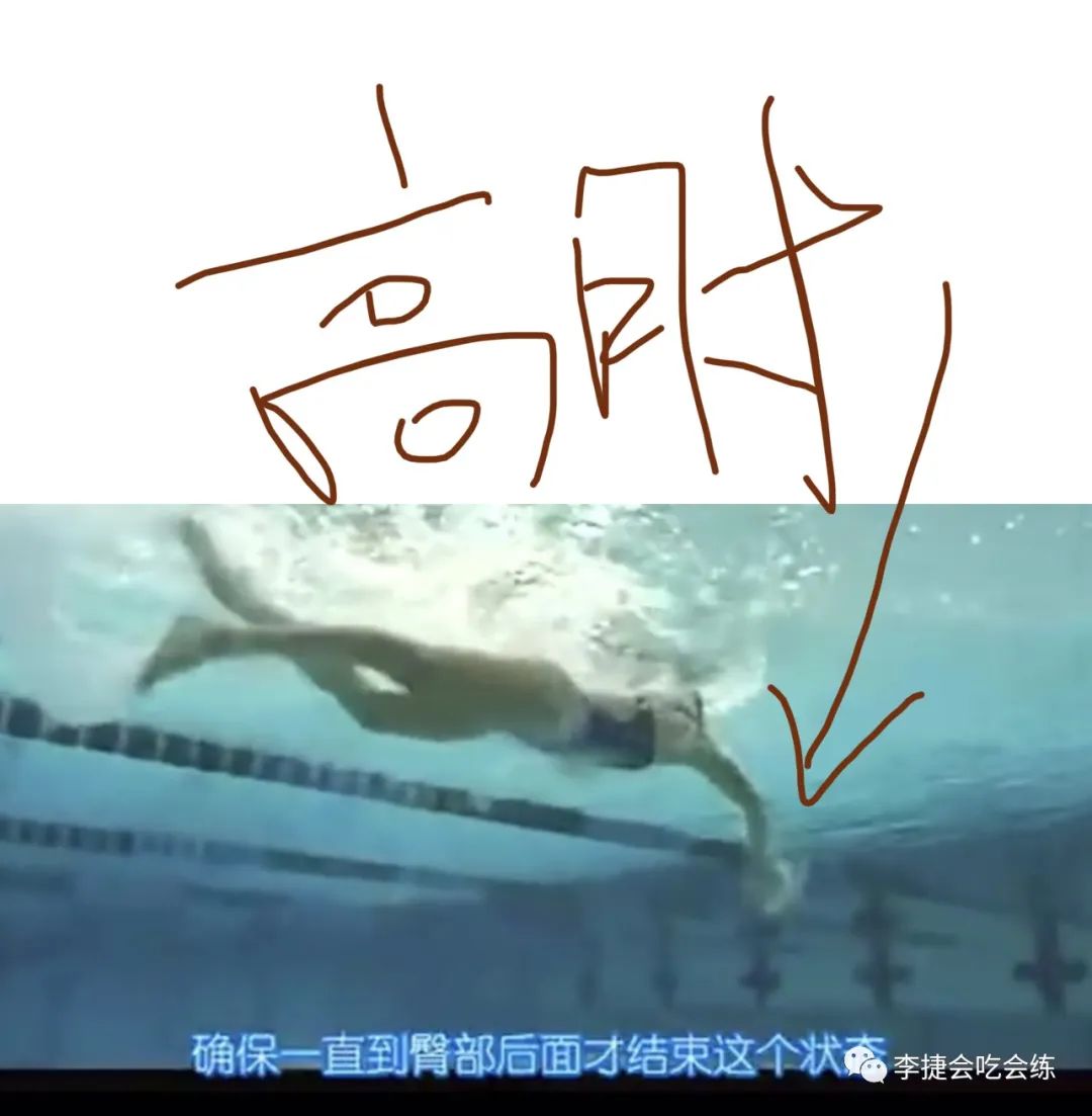 第一个世界游泳冠军是谁_游泳世界冠军_游泳比赛世界冠军